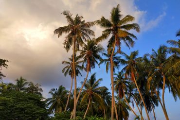 KYM declare an opportunity to complete a Padi dive master course for Free