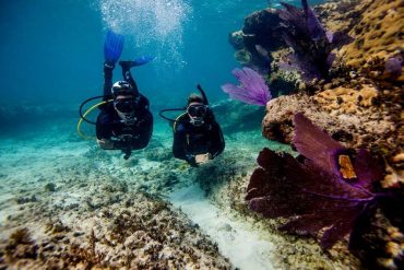 KYM declare an opportunity to complete a Padi dive master course for Free