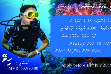 Opportunity to submit a logo and flag